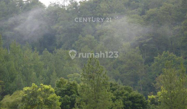 Rumah Siap Huni Dago Kawasan Asri Bandung Utara 2