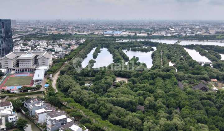 For rent cheap apartment gold coast standard develop view city ready for survey 1