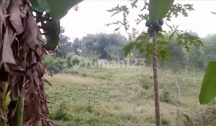 Tanah Komersial di Cikarang Cibarusa Dijual Segera.