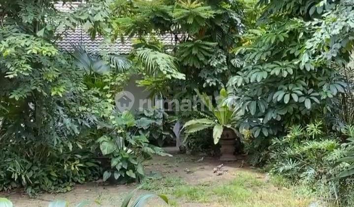 Jl Teuku Umar Menteng Jl Teuku Umar Menteng