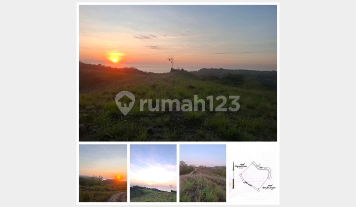 Jual Tanah Luas 1 Hektar Sumba Nusa Tenggara Timur