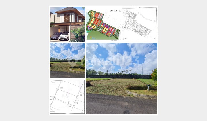 Land for Sale in Tabanan Bali Land for Sale in Tabanan Bali