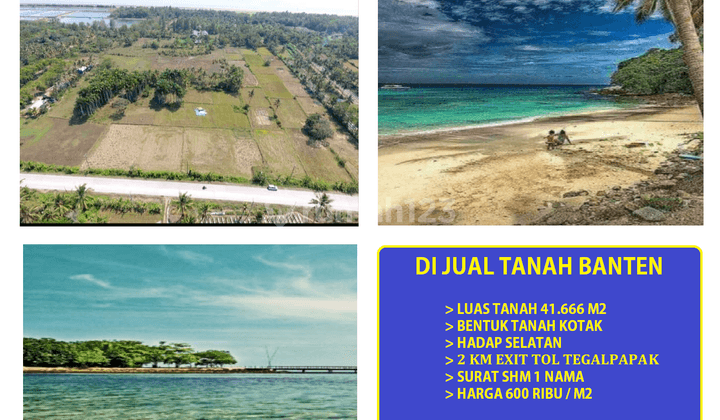 di Jual Tanah 4 Hektar Jl Raya Panimbang Pandeglang Banten 1