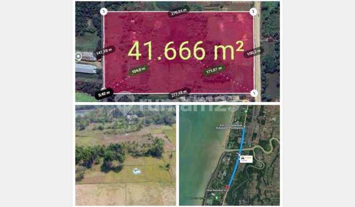 Jual Tanah 4 Hektar Pandeglang Banten Jual Tanah 4 Hektar Pandeglang Banten