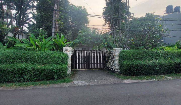 Rumah Asri di Jl Gaharu VI, Cilandak Barat. Dkt ke Jl Antasari & Fatmawati Raya 1