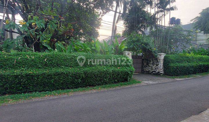 Rumah Asri di Jl Gaharu VI, Cilandak Barat. Dkt ke Jl Antasari & Fatmawati Raya 2