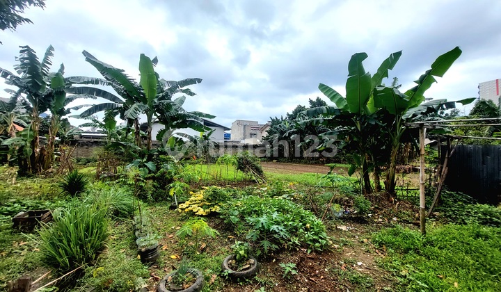 Tanah Murah di Kemiri Muka Selangkah Dari Jl Raya Margonda Depok Tanah Murah di Kemiri Muka Selangkah Dari Jl Raya Margonda Depok