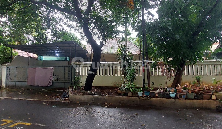 Rumah Asri 1 Lantai di Jl Surabaya, Menteng. Dkt ke Jl Sudirman & Kuningan