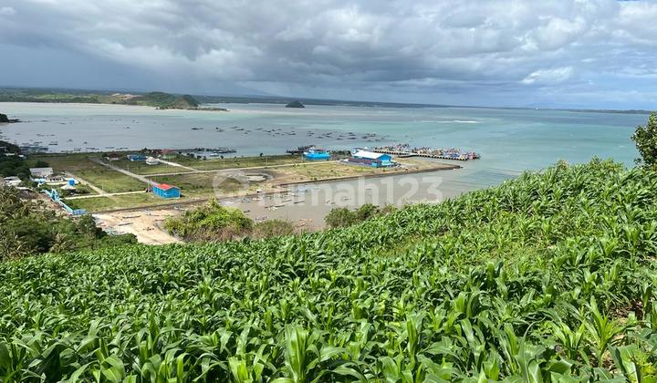 Land In Awang Beach,Lush Hills And Nature,Stunning Ocean View Land In Awang Beach,Lush Hills And Nature,Stunning Ocean View