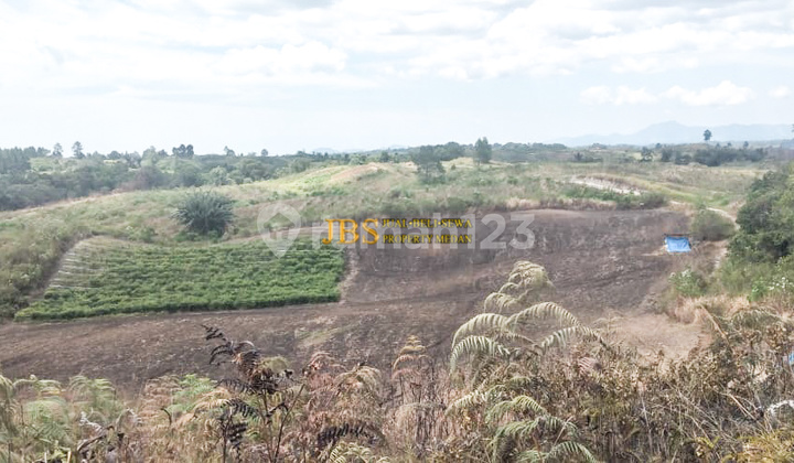 For Sale: Land in Gajapokki Area, Saribu Jandi - Simalungun For Sale: Land in Gajapokki Area, Saribu Jandi - Simalungun