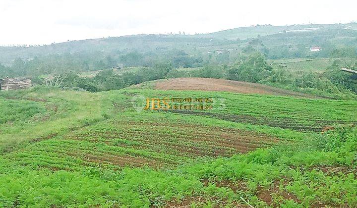 Dijual Tanah Kosong Desa Ajinembah Kabupaten Karo 1