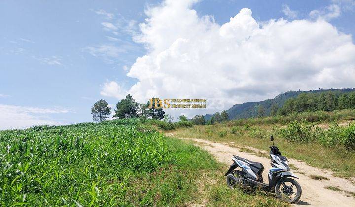 Dijual Tanah Kosong Daerah Samosir Kec. Simanindo Ds. Marlumba 2