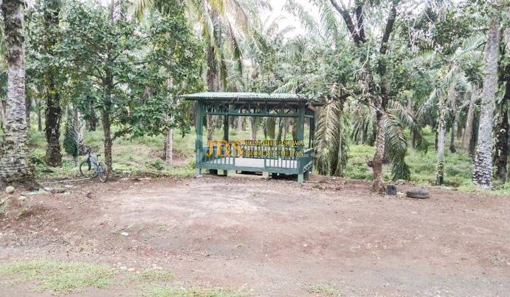 Dijual Tanah Kosong Desa Lau Mulgap Kec. Selesai Kab. Langkat  1