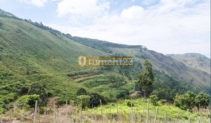 Dijual Tanah di Jalan Sapo Juma Pangambatan Merek Karo  1