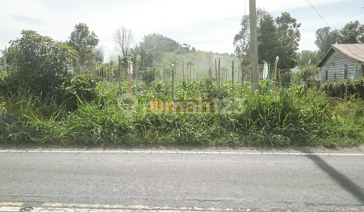 For Sale Vacant Land in Tongging Area, Jl. Besar Kabanjahe, Merek - Karo For Sale Vacant Land in Tongging Area, Jl. Besar Kabanjahe, Merek - Karo