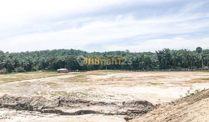 Dijual Tanah Jalan Hilir, Desa Negara Beringin Kec. Sinembah 2