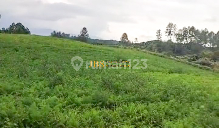 Dijual Tanah Kosong Daerah Simalungun Jl. Saribu Jandi - Kec. Pamatang Silima Huta