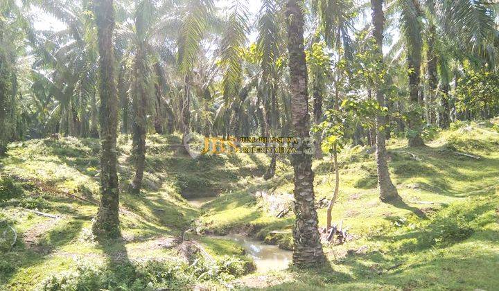 Dijual Tanah Kosong Desa Lau Mulgap Kec. Selesai Kab. Langkat  2