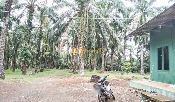 Dijual Tanah Kosong Desa Lau Mulgap Kec. Selesai Kab. Langkat  2