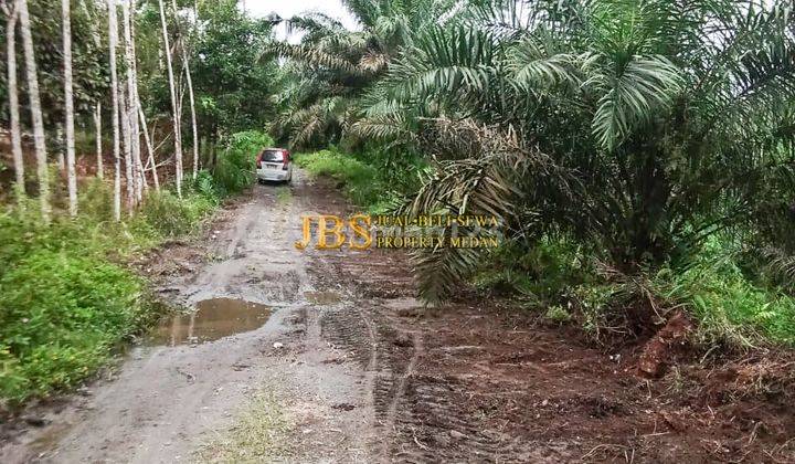 Dijual Tanah di Desa Ujung Deleng Kec. Sibolangit 1