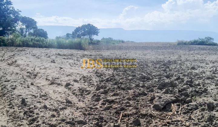 Dijual Tanah Kosong Lokasi Cinta Dame Jl. Raya Simanindo - Simarmata 1