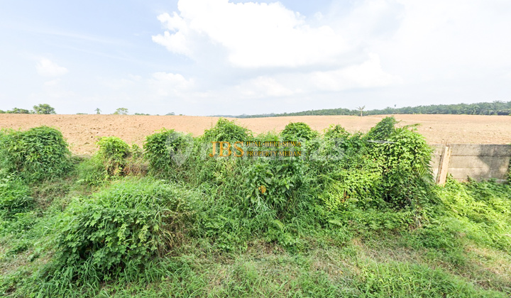 Dijual Tanah Kosong - Pasar X Jalan Glugur Rimbun 1