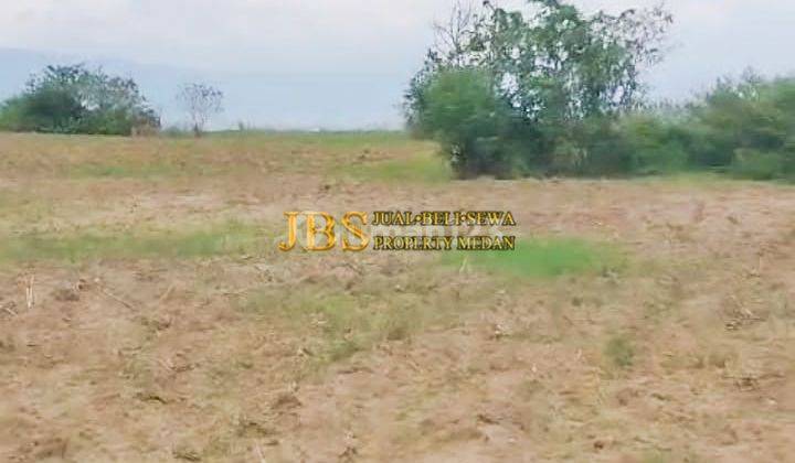 Dijual Tanah Kosong Lokasi Cinta Dame Jl. Raya Simanindo - Simarmata 2