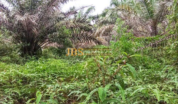 Dijual Tanah di Desa Ujung Deleng Kec. Sibolangit 2