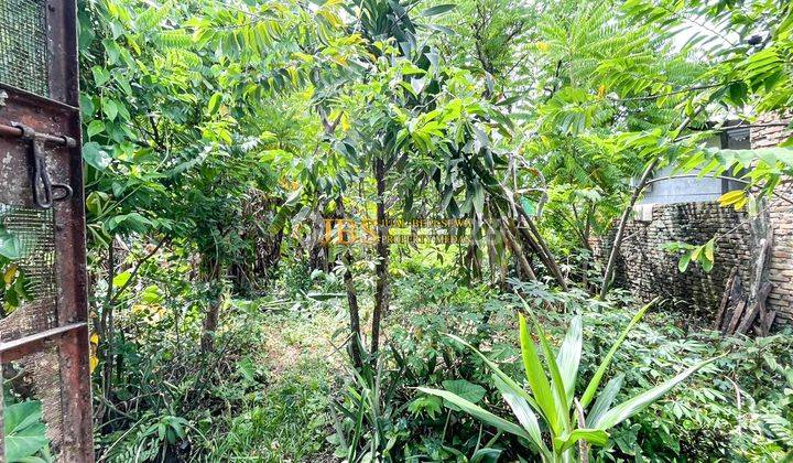 Dijual Tanah Jalan Purwosari (Daerah Krakatau) 2