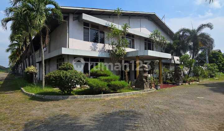 Factory.at.Kemis.market Very.good