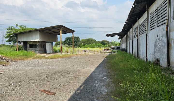 Factory.at.Kemis.market Very.good