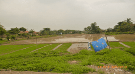 Lahan Dijual Cepat Di Jl. Raya Serang, Cikarang, Cibarusah 1