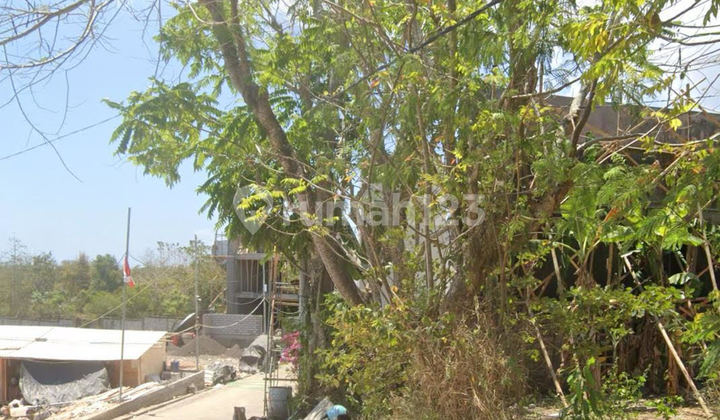 Dijual Cepat Tanah di Bingin, Badung, Bali Dijual Cepat Tanah di Bingin, Badung, Bali