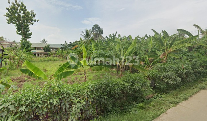 Tanah Dijual Cepat Di Jl. Bunar Saga, Balaraja, Tangerang Tanah Dijual Cepat Di Jl. Bunar Saga, Balaraja, Tangerang