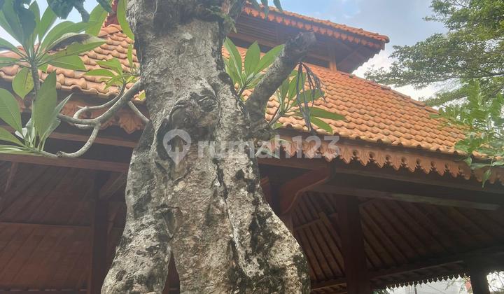 Dijual Cepat Kavling Di Kayu Mas, Seluas 639m2