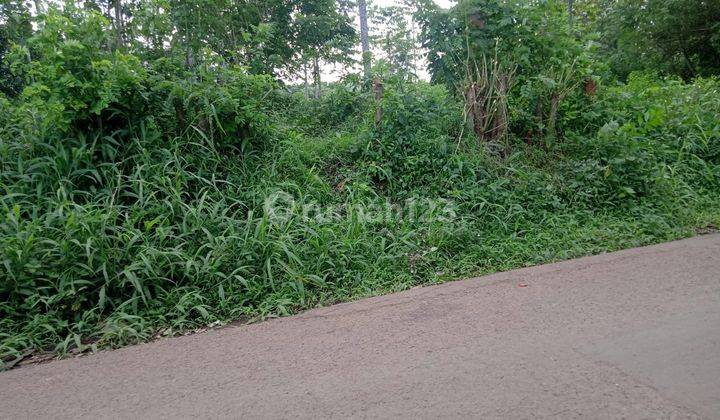 Tanah Curug Serang cocok untuk perumahan siap bangun siap nego 1