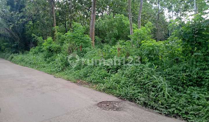 Tanah Curug Serang cocok untuk perumahan siap bangun siap nego 4