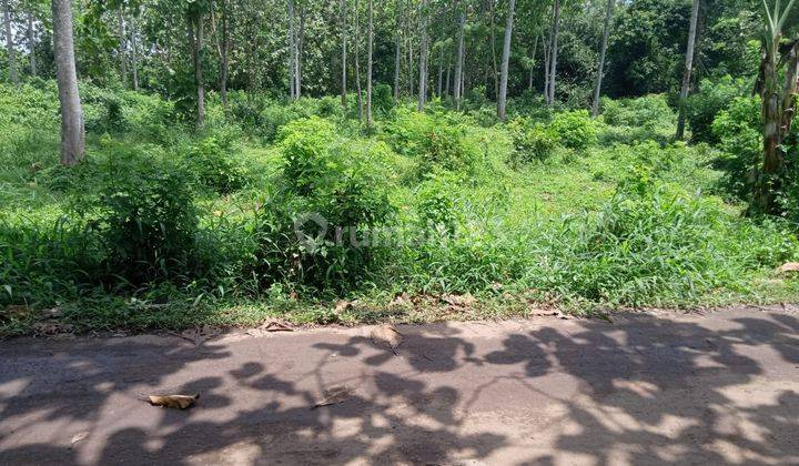 Tanah Curug Serang cocok untuk perumahan siap bangun siap nego 3