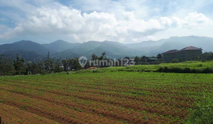 Tanah Cisarua Bogor cocok untuk hotel resto perumahan siap nego 2