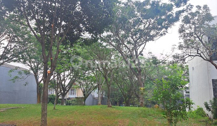 Murah Meriah Kavling Selatan Huk Taman dan Hadap Taman Avani Bsd