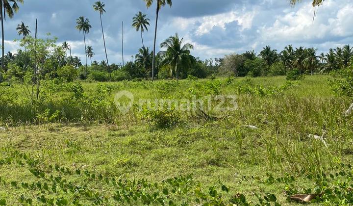 Tanah Pinggir Pantai Cocok Untuk Resort Hotel Villa Bangka Belitung Tanah Pinggir Pantai Cocok Untuk Resort Hotel Villa Bangka Belitung