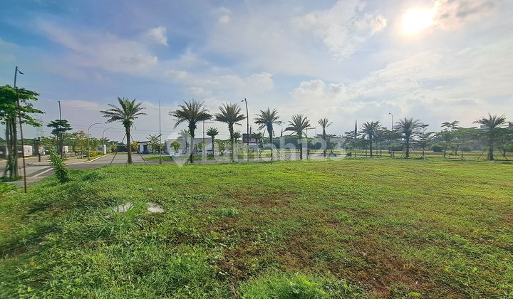 Rare Ready-to-Build Plot of 5000 square meters in a super strategic location, first come first served Gading Serpong