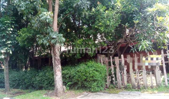 Jual Rumah Hitung Tanah Saja Posisi Hoek Row Jalan Besar Siap Transaksi Cepat Lingkungan Asri Puspitaloka Bsd