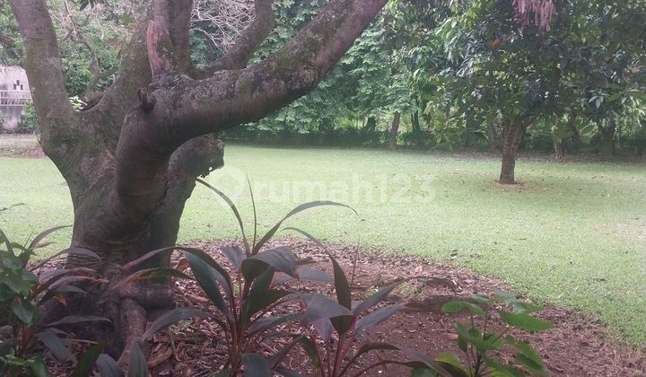 Lahan Di Serua.ciputat Lebar 50m Dekat.kawasan Bintaro 1