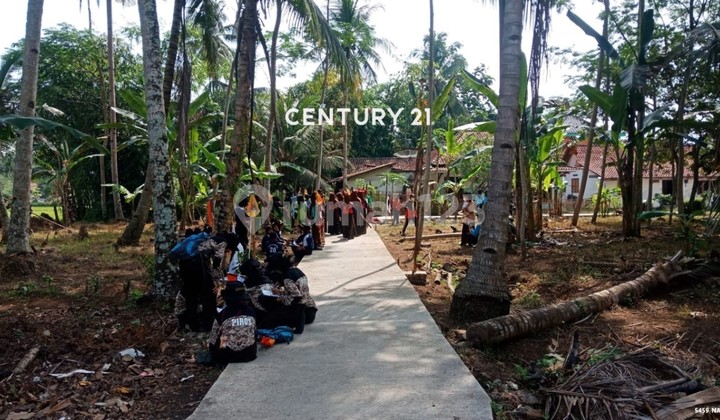 Dijual Kavling Luas Harga Menarik di Purworejo Jawa Tengah