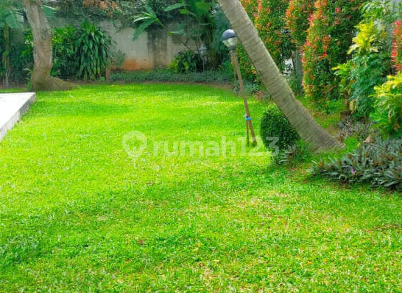 Nice House with Large Garden Front and Back Ready to Occupy 2