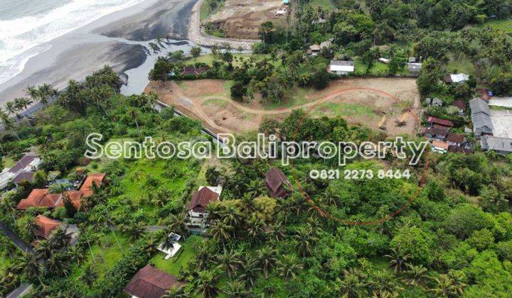 Beach Front Land Sale 9250m2 Balian Beach Selemadeg Tabanan Bali 2