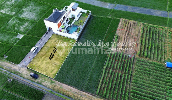 Land with sea view 400m2 in Kelating Tabanan Land with sea view 400m2 in Kelating Tabanan