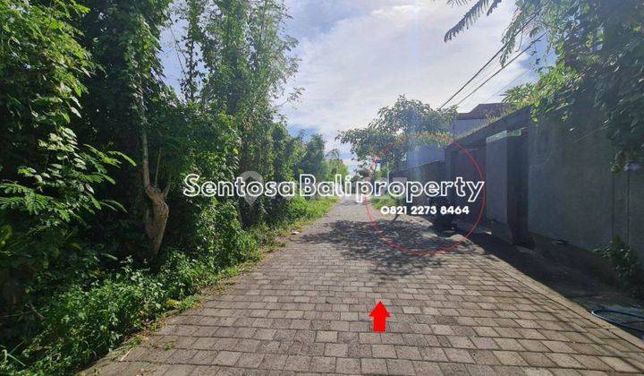 Land for lease 500m2 subak daksina kayu tulang utara Canggu 2