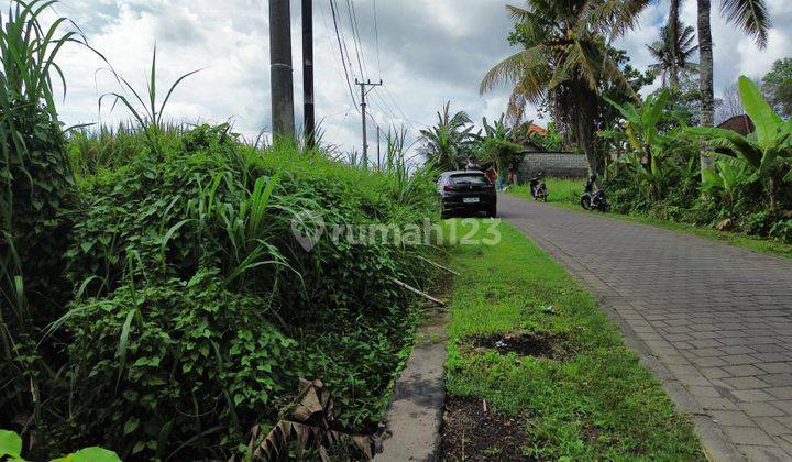 Tanah di Kaba Kaba Tabanan , View Sawah ,cocok Untuk Villa  2